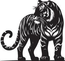 black silhouette of standing tiger on white background of illustration vector