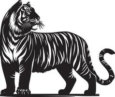 black silhouette of standing tiger on white background of illustration vector