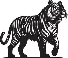 black silhouette of standing tiger on white background of illustration vector