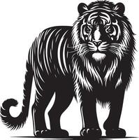black silhouette of standing tiger on white background of illustration vector