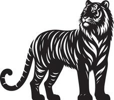 black silhouette of standing tiger on white background of illustration vector