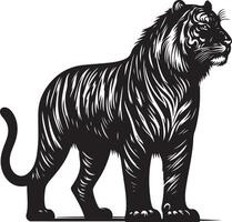 black silhouette of standing tiger on white background of illustration vector