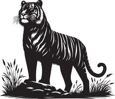 black silhouette of standing tiger on white background of illustration vector
