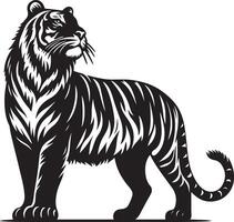 black silhouette of standing tiger on white background of illustration vector
