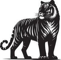 black silhouette of standing tiger on white background of illustration vector