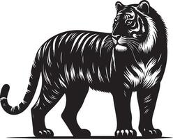 black silhouette of standing tiger on white background of illustration vector