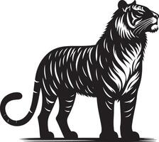 black silhouette of standing tiger on white background of illustration vector