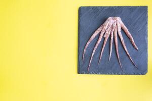 Raw squid tentacles on a black slate board. copy space Top view. Yellow background photo
