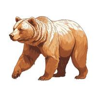 Hand Drawn Bear Walking Engraved Illustration vector