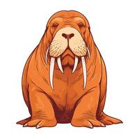 Cartoon Walrus Illustration vector