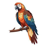 Parrot Perched on Branch Illustration vector