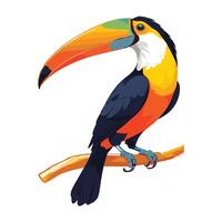 Toucan Sitting on Branch Illustration vector