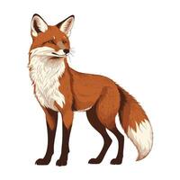 Stylish Fox Standing Illustration vector