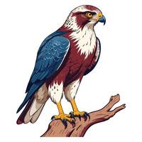 Hawk Perched on Branch Illustration vector