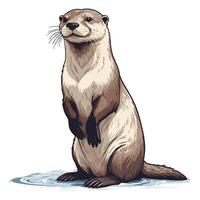 Otter Illustration with Water Splash vector