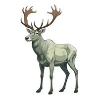 Hand Drawn Caribou with Branching Antlers vector