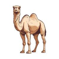 Camel Illustration with Cool Tones vector