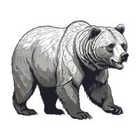 Bear Walking Engraved Illustration vector