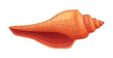 Conch seashell cartoon illustration isolated on white background vector