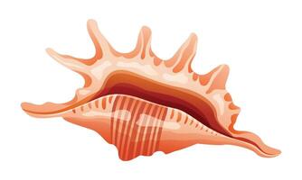 Spiky seashell cartoon illustration isolated on white background vector