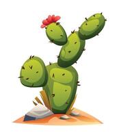 Cactus illustration isolated on white vector