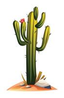 Cactus on the ground illustration in cartoon style. isolated on white background vector