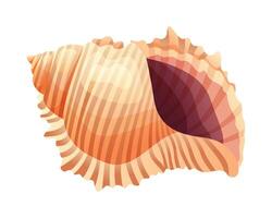 Cartoon illustration of a wavy conch seashell on white background vector