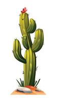 Cactus tree illustration isolated on white vector