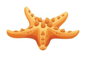 Starfish cartoon illustration isolated on white background vector