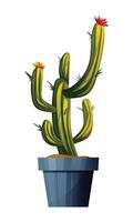 Cactus in pot illustration isolated on white background vector