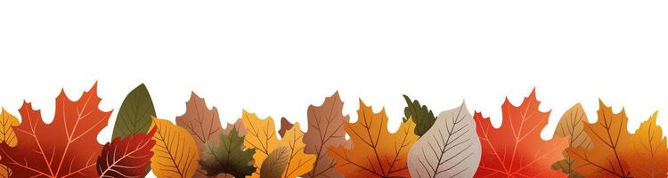 A row of autumn leaves with a white background vector
