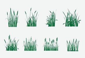green Cattails art with white background, graphics vector