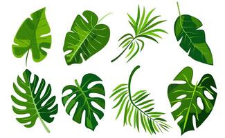features eight different types of green leaves, each with distinct shapes and vein patterns. diverse foliage showcases various botanical designs, ideal for nature-related graphics and design projects vector