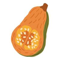 Slice of orange autumn pumpkin Symbol of Halloween and Thanksgiving day. illustration on white background in doodle style. vector