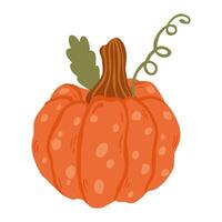 Single element of colorful orange autumn pumpkin Symbol of Halloween and Thanksgiving day. illustration on white background in doodle style. vector