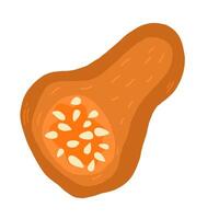 Slice of orange autumn pumpkin Symbol of Halloween and Thanksgiving day. illustration on white background in doodle style. vector