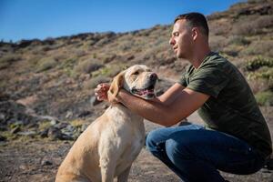 A dog trainer puts the collar on a golden retriever, photo with copy space