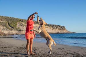 A dog trainer with a dog on the beach doing training exercises, the dog jumps to bite the chew toy photo