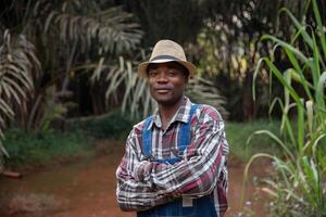 Portrait of a farmer posing with folded arms, smiling successful African businessman. photo