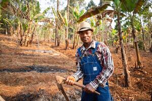 African farmer works the field with the hoe, cultivator at work on his plantation. photo