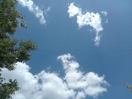 Sky with white cloud, good summer weather photo