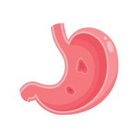 Isolated illustration graphic of a stomach with ulcers vector