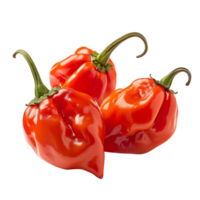 Fresh red habanero peppers in focus, isolated on a transparent background png