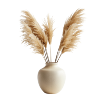 A pampa grass arrangement in a simple ceramic vase, isolated on a transparent background png
