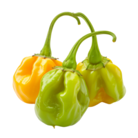 Fresh green habanero peppers in focus, isolated on a transparent background png