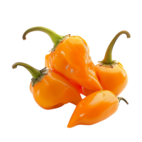 Fresh orange habanero peppers in focus, isolated on a transparent background png