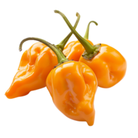 Fresh orange habanero peppers in focus, isolated on a transparent background png