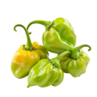 Fresh green habanero peppers in focus, isolated on a transparent background png