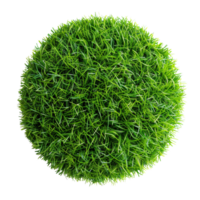 A top view of a floating patch of artificial grass, round and short, isolated on a transparent background png