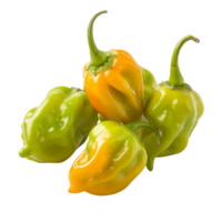 Fresh green habanero peppers in focus, isolated on a transparent background png